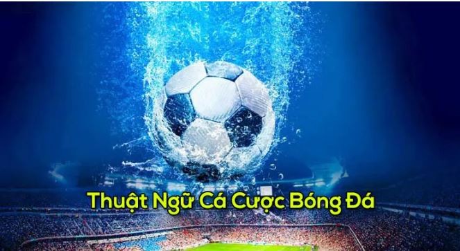 Các loại tỷ lệ kèo của bóng đá Tây Ban Nha bạn nên biết